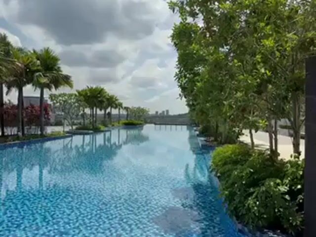 Video Image 1