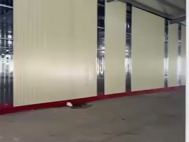 Video Image 1