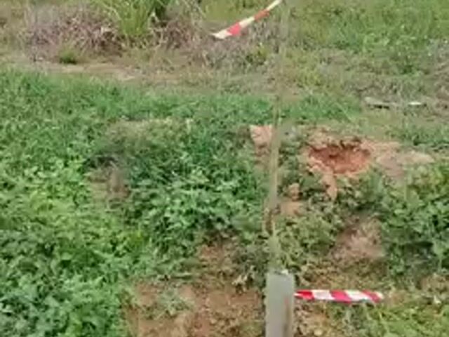 Video Image 1