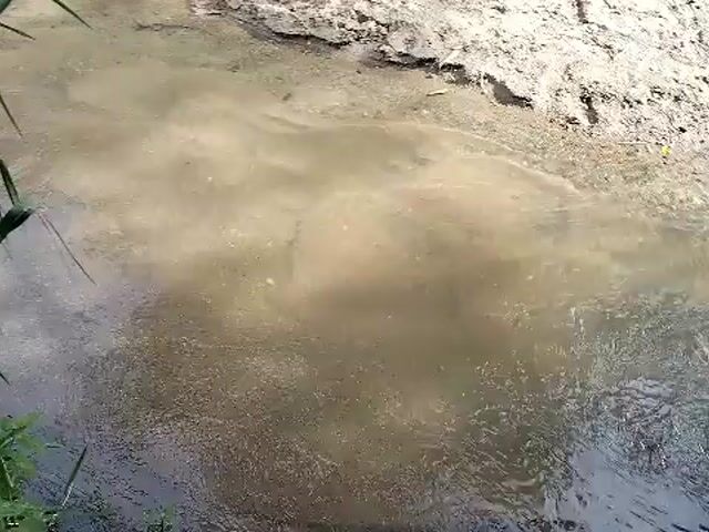 Video Image 1