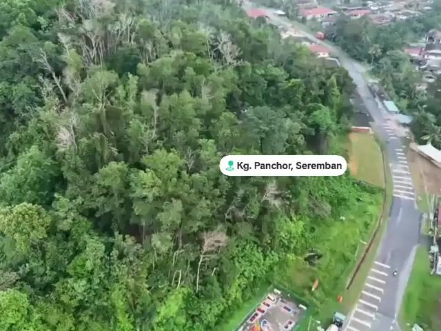 Video Image 1