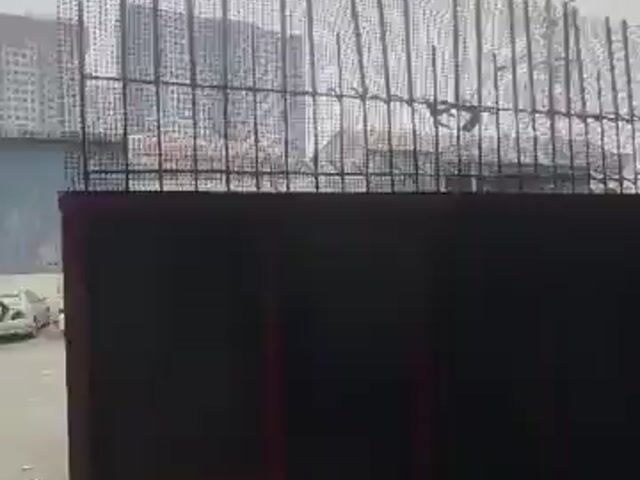 Video Image 1