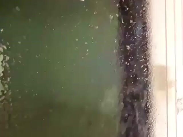 Video Image 1