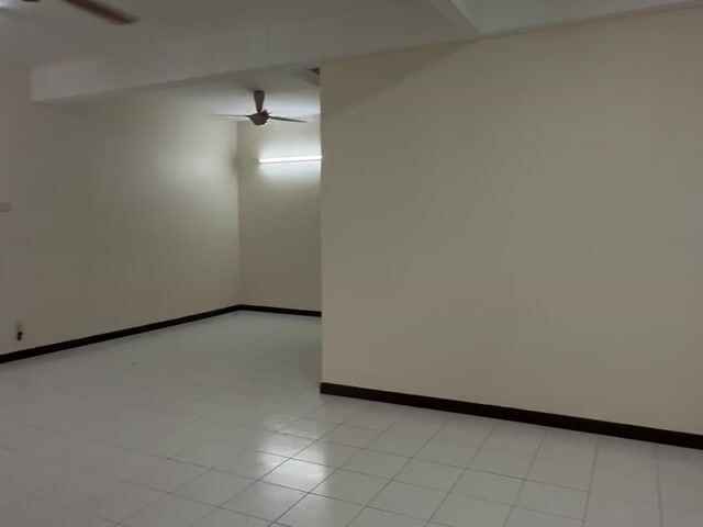 Video Image 1