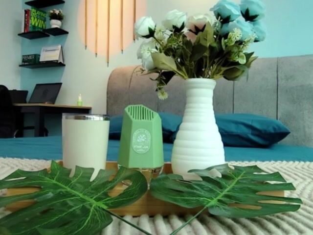 Video Image 1
