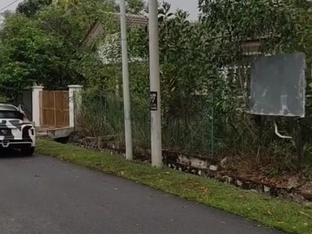 Video Image 1