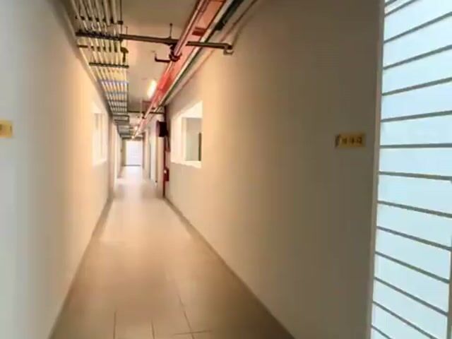 Video Image 1