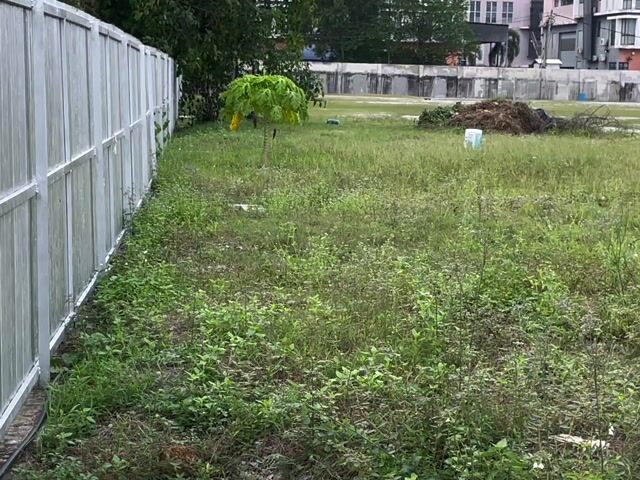 Video Image 1