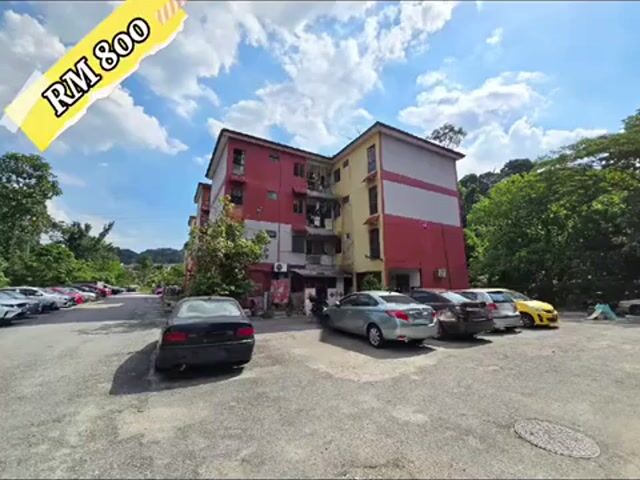 Video Image 1