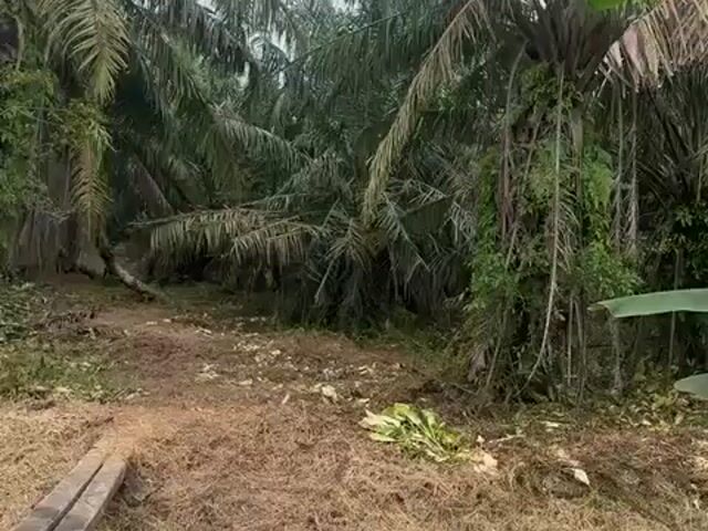 Video Image 1