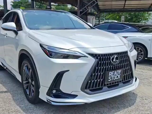 2023 Lexus NX 250 2.5 LUXURY (A) MODELISTA -GRD 5A - 1