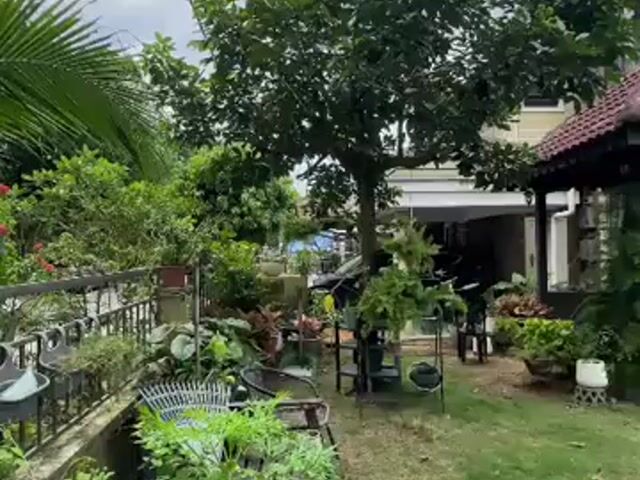 Video Image 1
