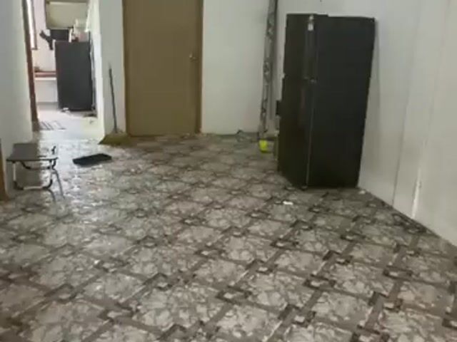 Video Image 1
