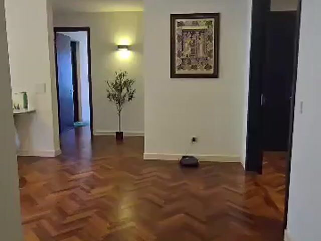 Video Image 1