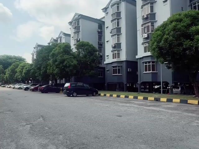 Video Image 1