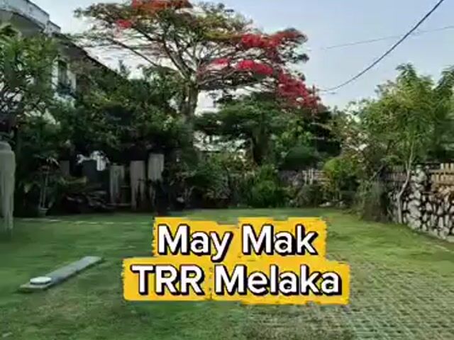 Video Image 1
