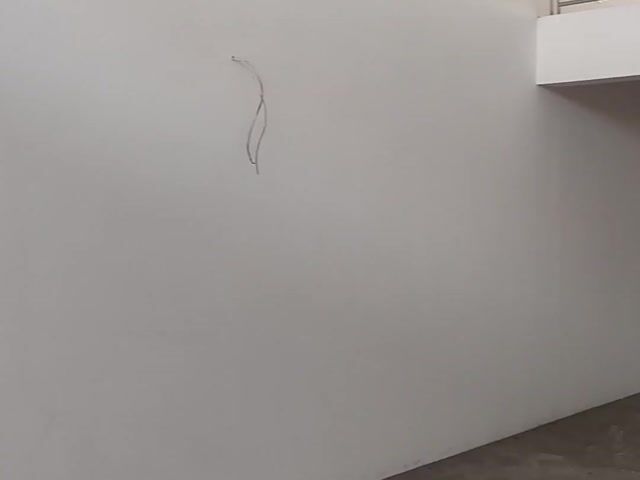 Video Image 1