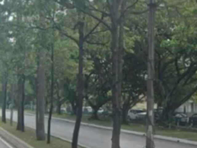 Video Image 1
