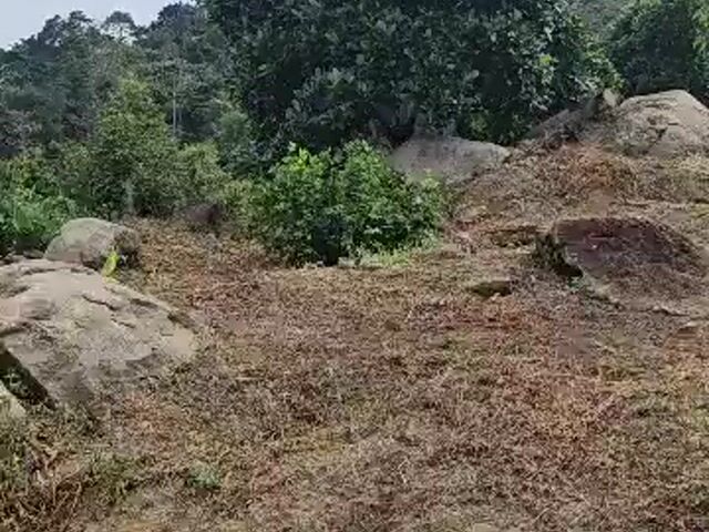 Video Image 1