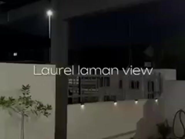Video Image 1