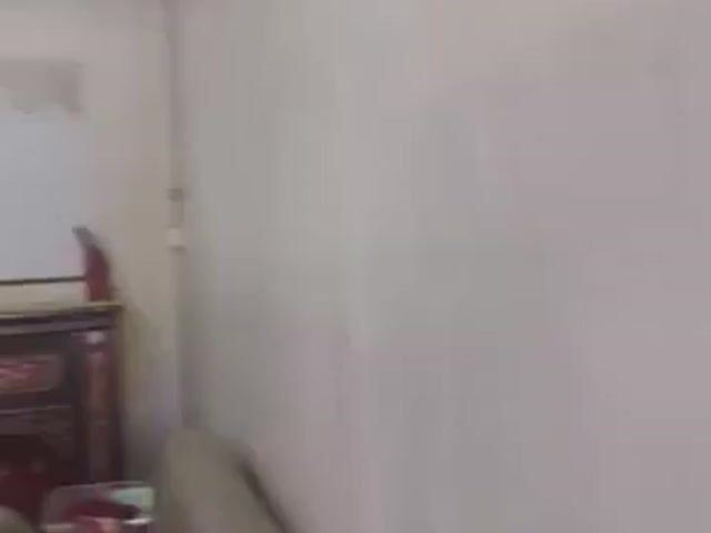 Video Image 1