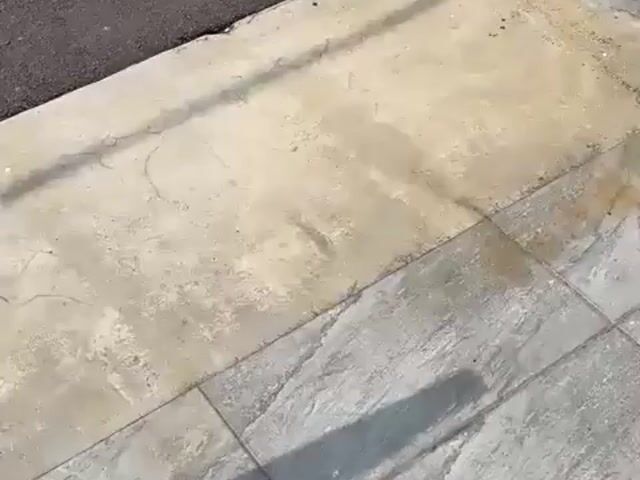 Video Image 1