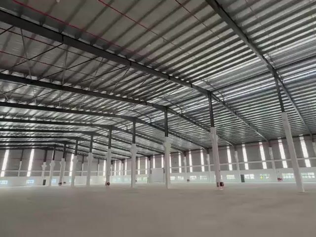 Video Image 1