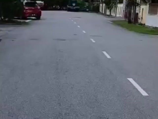 Video Image 1