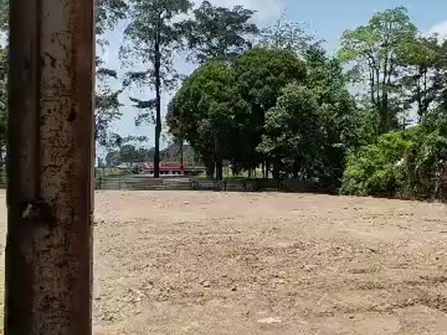 Video Image 1