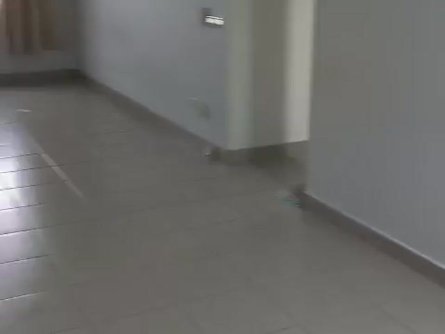 Video Image 1