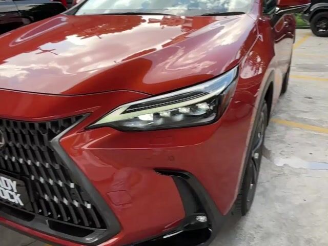 2023 Lexus NX250 2.5 VL/Version L (A) - 1